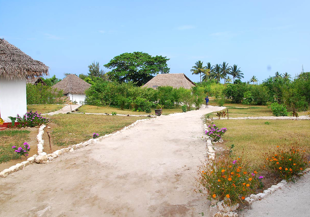 Gecko Nature Lodge