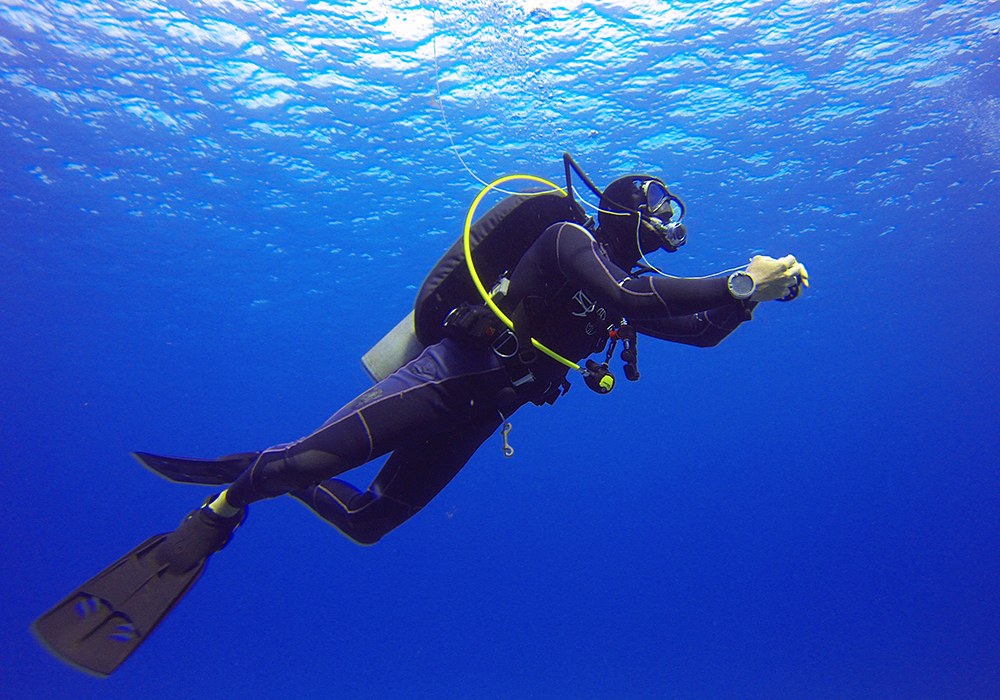 Diving Experience in Zanzibar