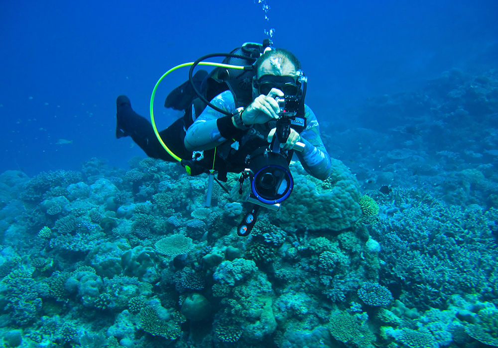 Diving Experience in Zanzibar