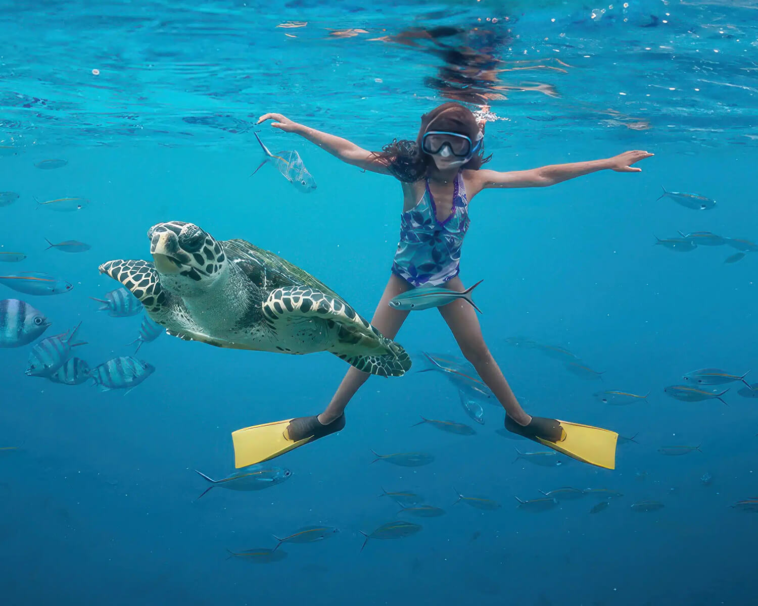 Chumbe Island Coral Tour