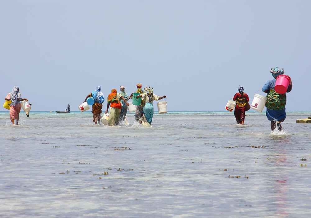 Nungwi Village Cultural Tour